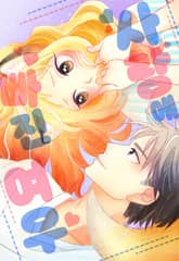 사랑에 빠진 여우 표지 이미지