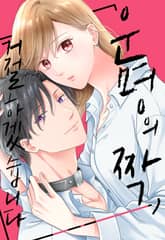 운명의 짝, 거절하겠습니다 표지 이미지