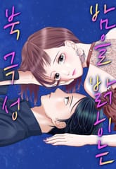 밤을 밝히는 북극성 표지 이미지