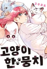 고양이 한 뭉치 표지 이미지