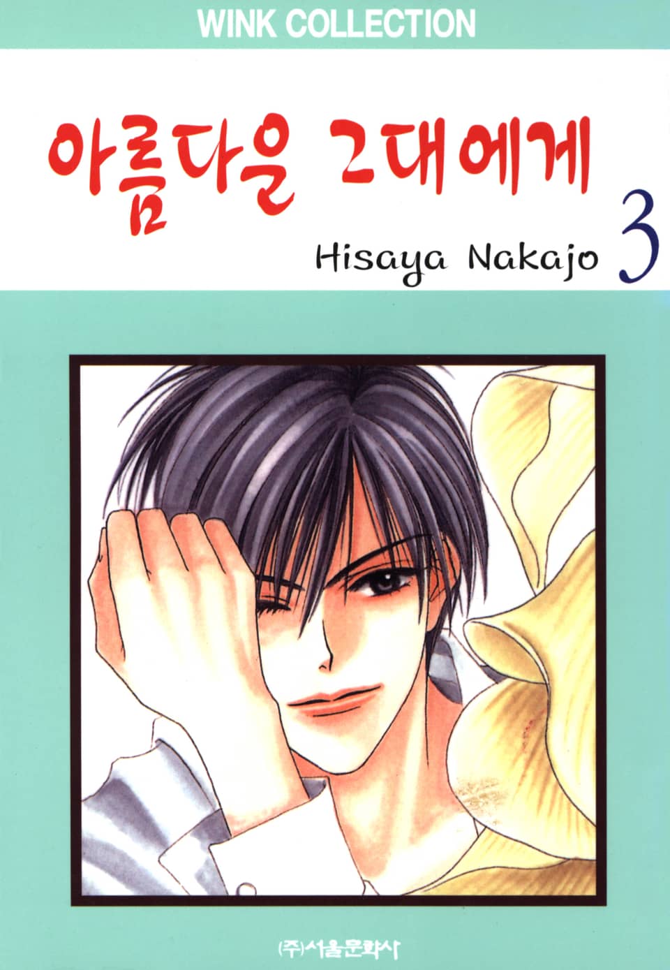 아름다운 그대에게 3권