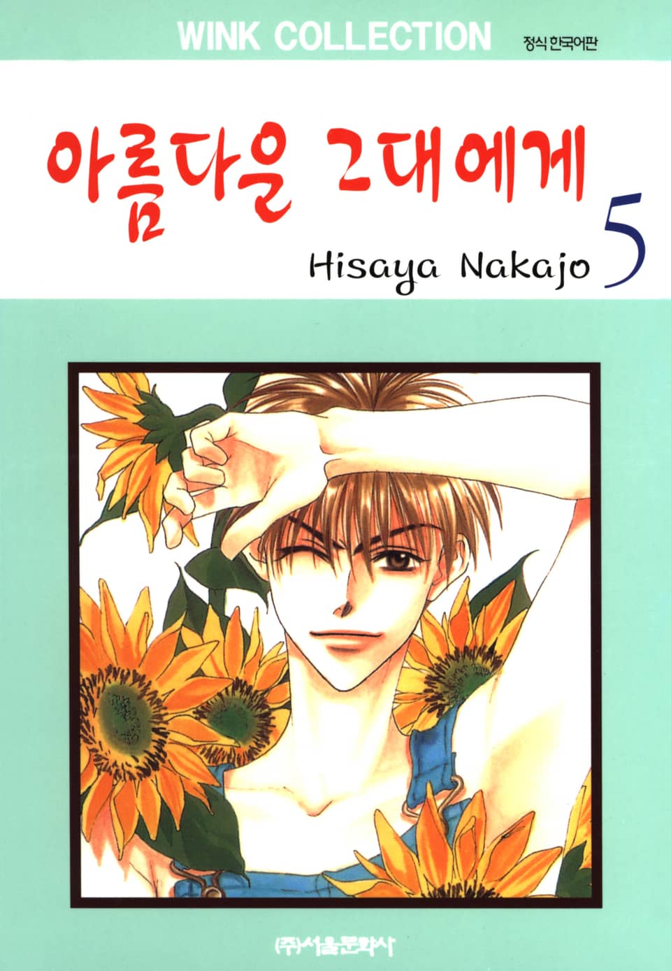 아름다운 그대에게 5권