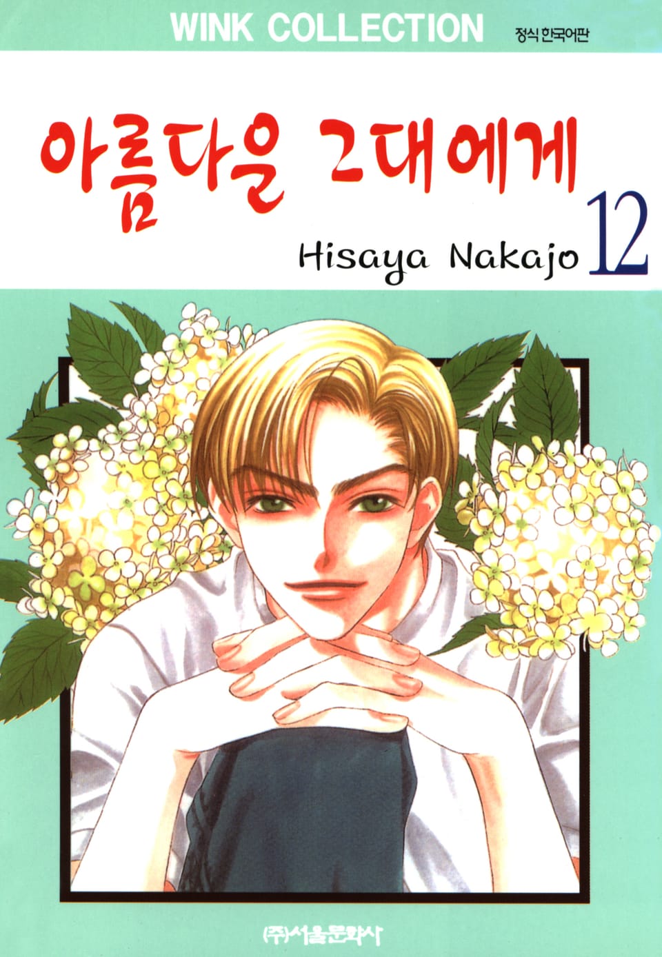 아름다운 그대에게 12권