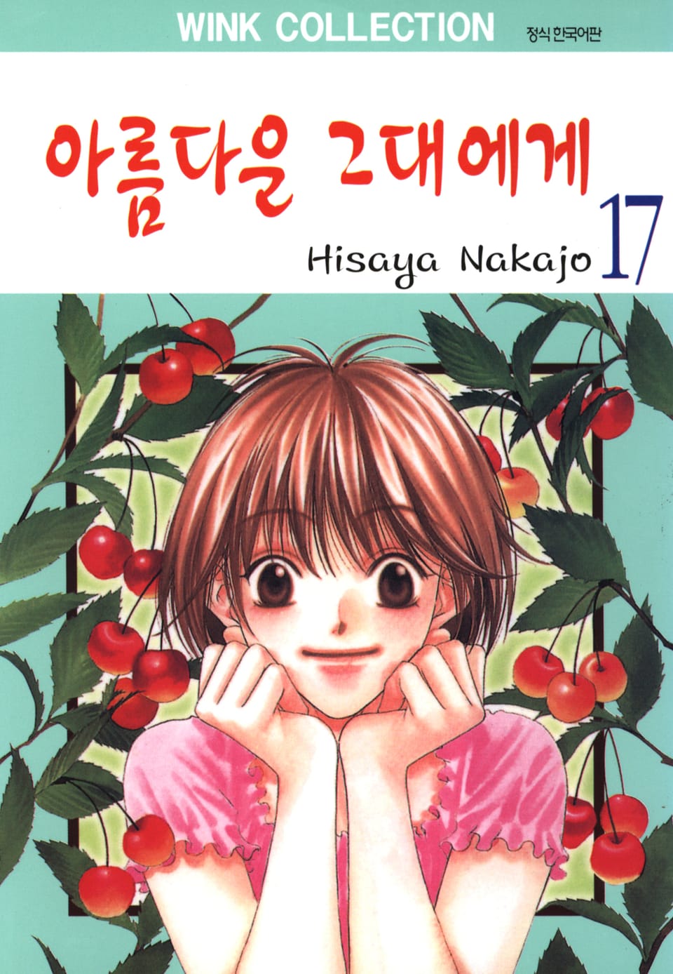 아름다운 그대에게 17권