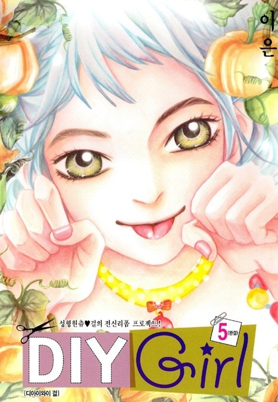 DIY Girl 5권 (완결)