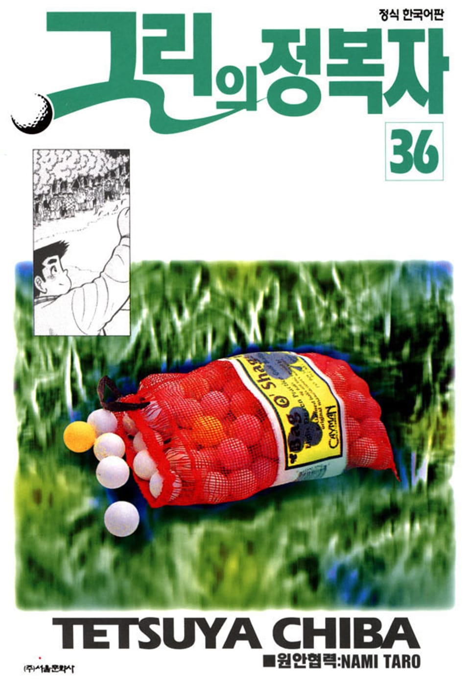 그린의 정복자 36권