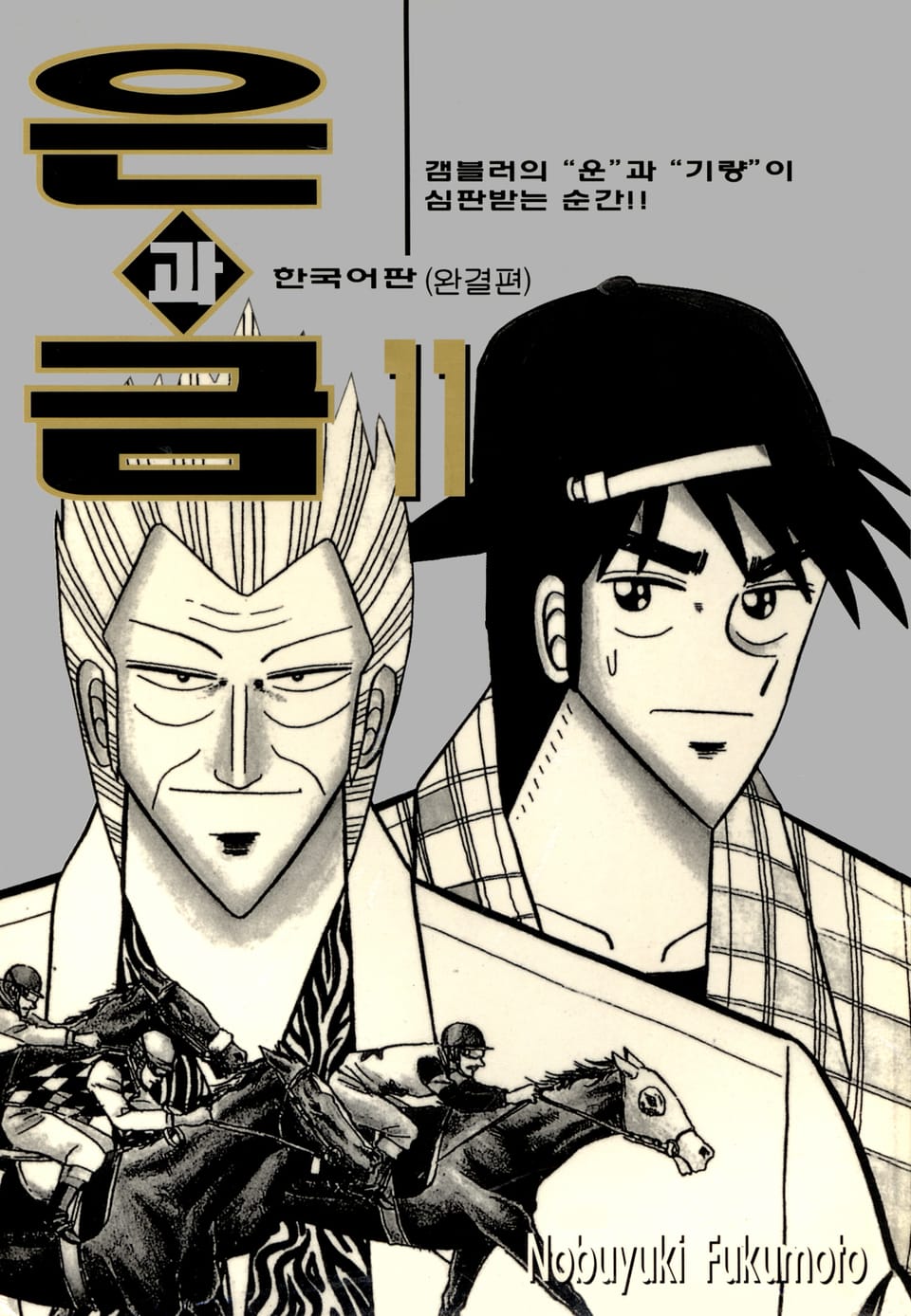 은과 금 11권 (완결)