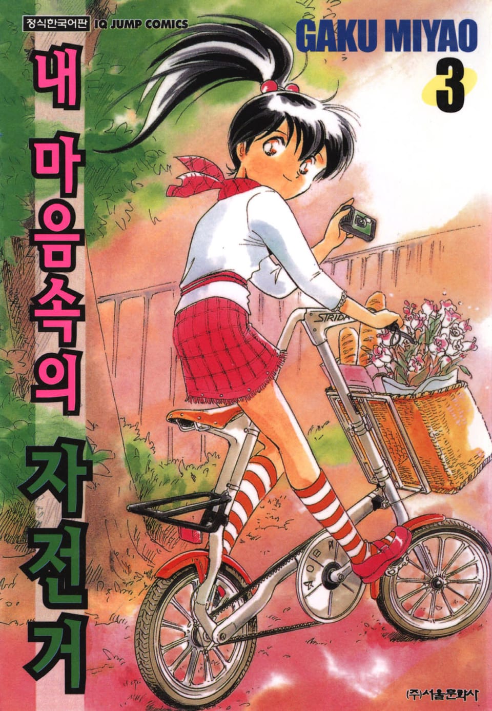 내 마음속의 자전거 3권