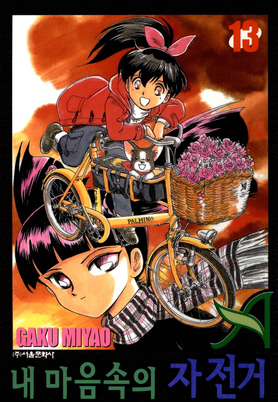 내 마음속의 자전거 13권