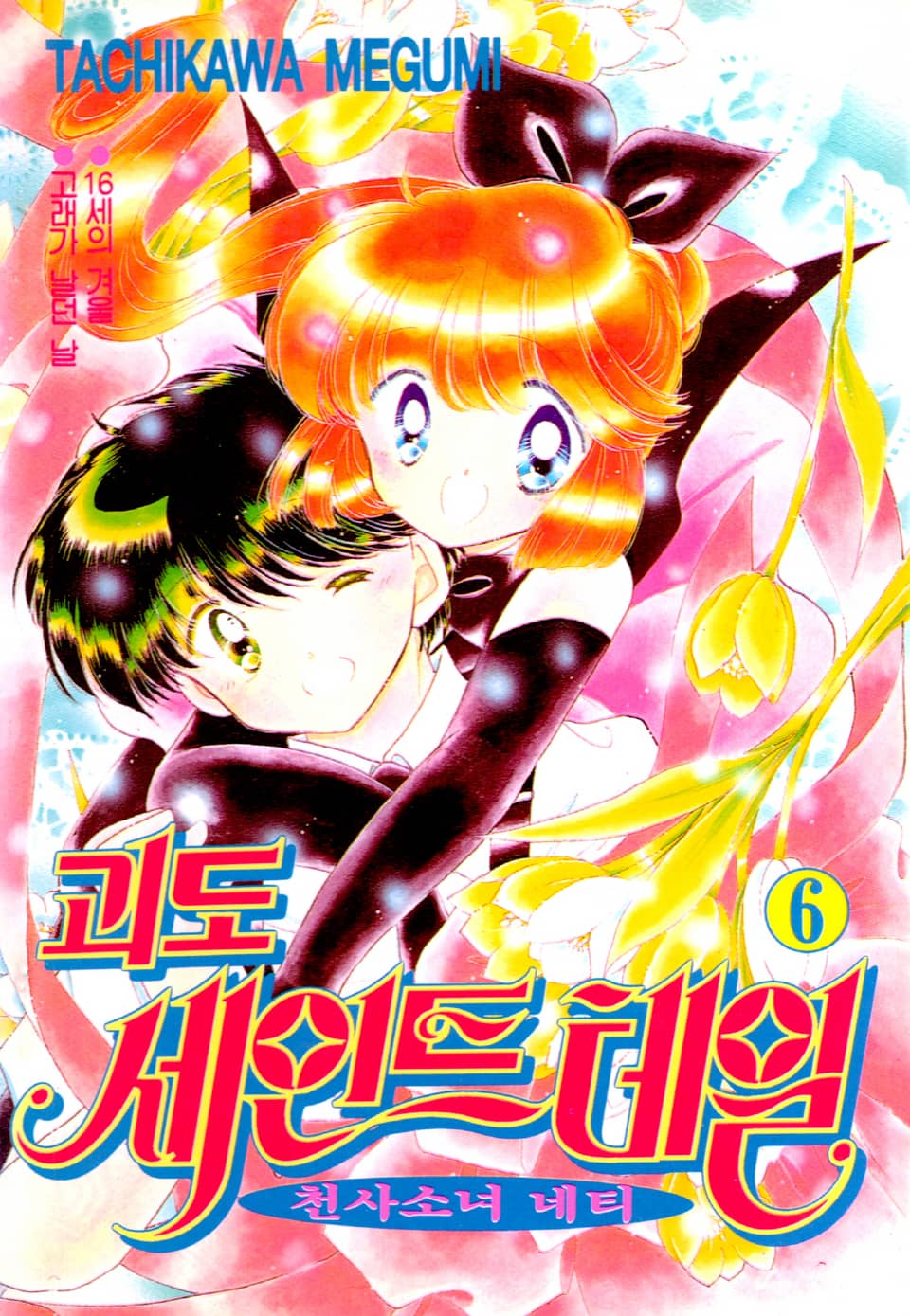 괴도 세인트테일(천사소녀 네티) 6권