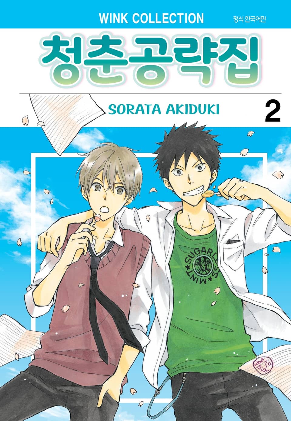 청춘 공략집 2권 (완결)