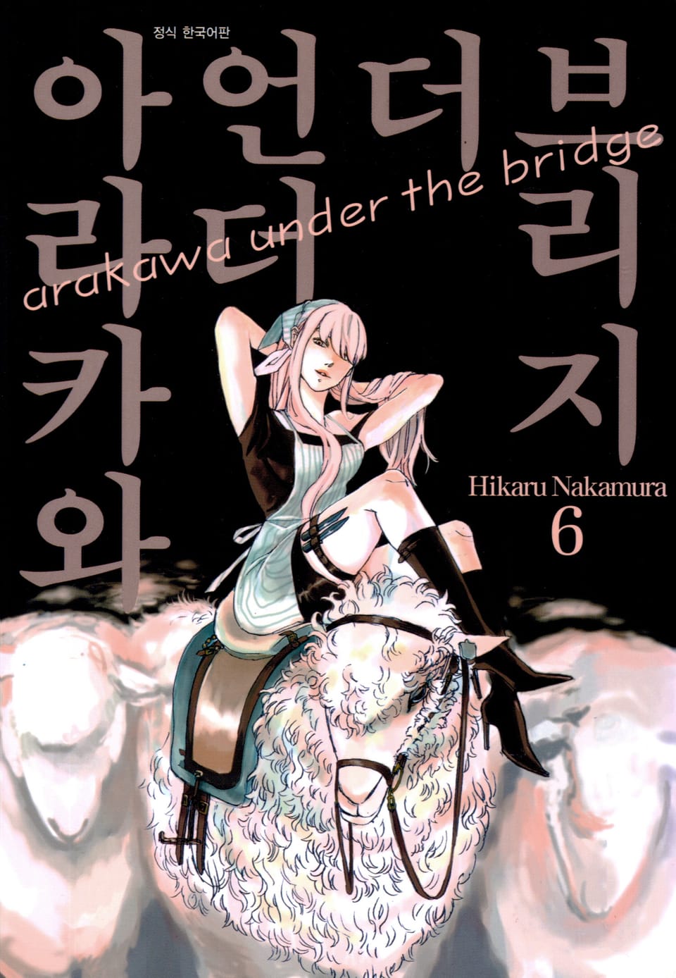 아라카와 언더 더 브리지 6권
