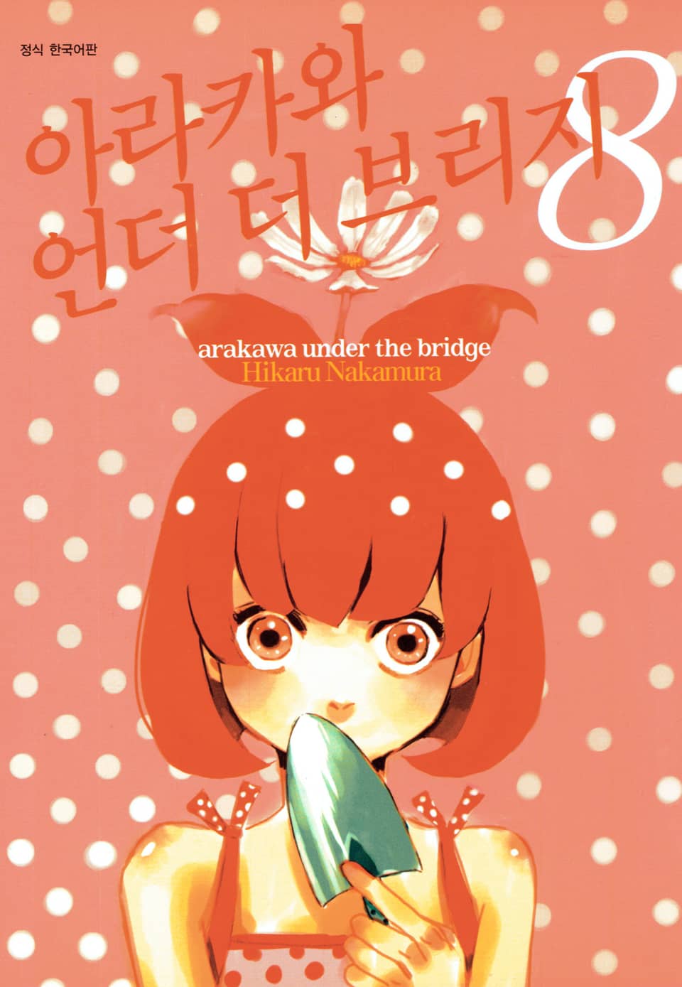 아라카와 언더 더 브리지 8권