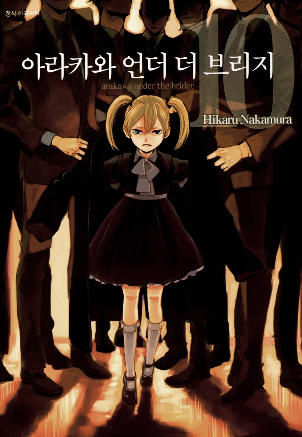 아라카와 언더 더 브리지 10권