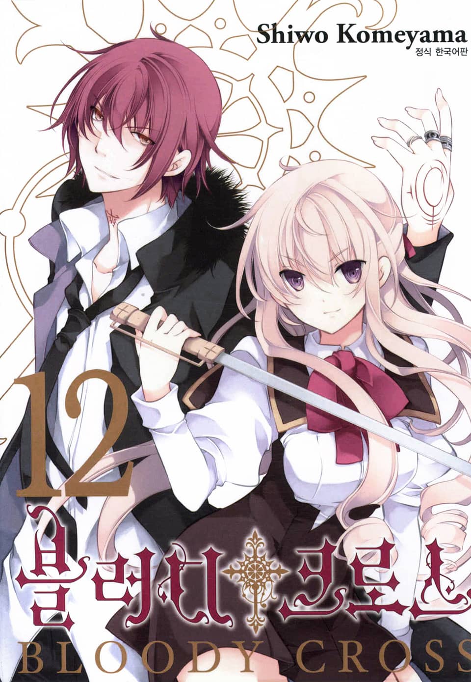 블러디 크로스 12권 (완결)