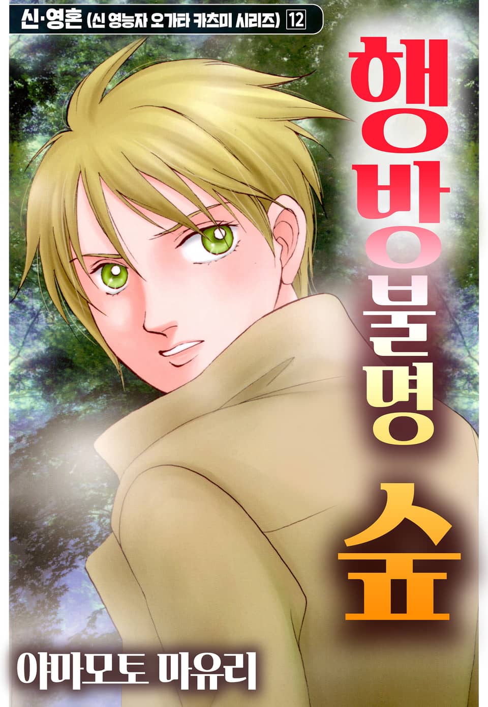 신·영혼 12권