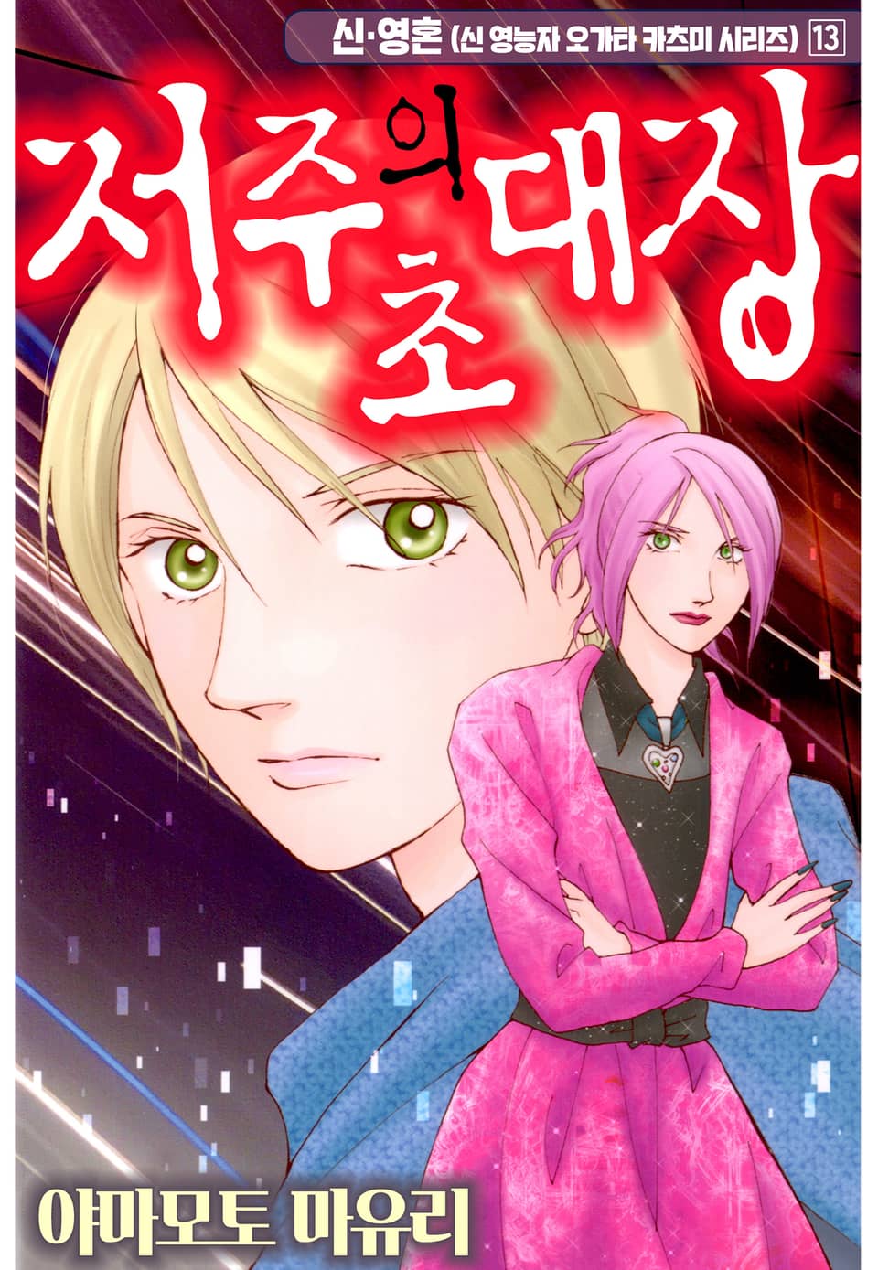 신·영혼 13권 (완결)