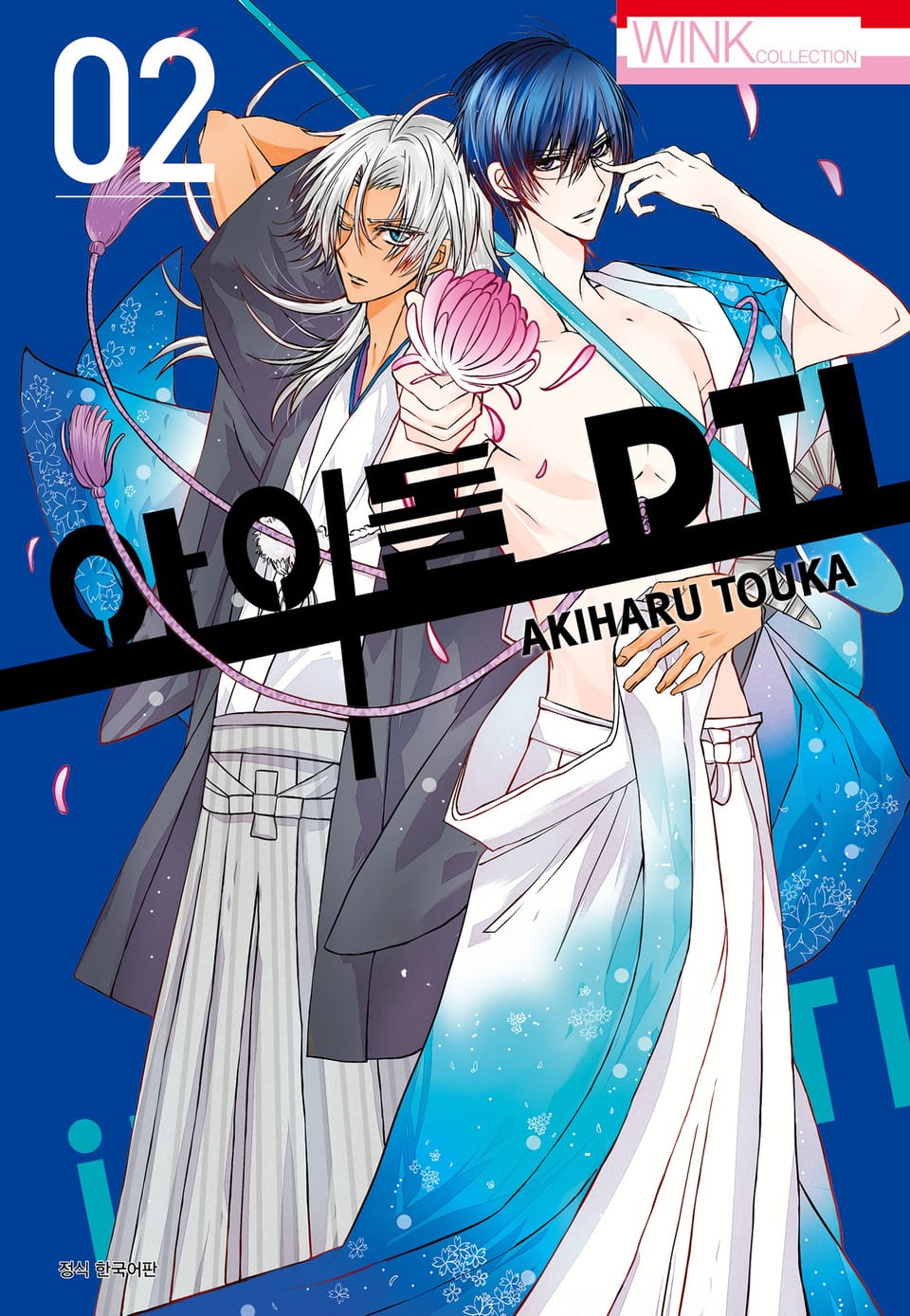 IDOL DTI 2권 (완결)