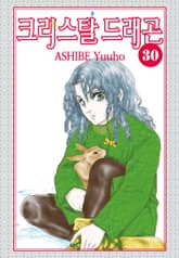 크리스탈 드래곤 표지 이미지