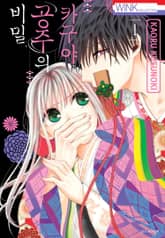 카구야 공주의 비밀 표지 이미지