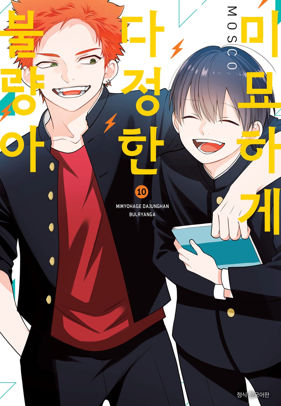 미묘하게 다정한 불량아 10권 (완결)