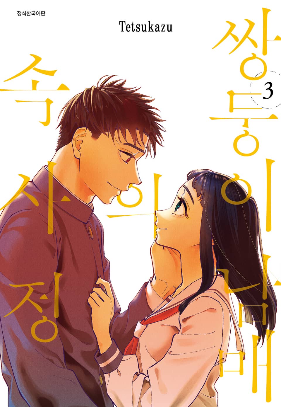 쌍둥이 남매의 속사정 3권 (완결)