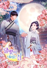 달빛이 내리는 검 표지 이미지