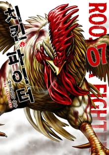 치킨 파이터