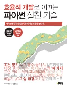 효율적 개발로 이끄는 파이썬 실천 기술