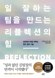 일 잘하는 팀을 만드는 리플렉션의 힘