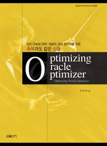 Optimizing Oracle Optimizer