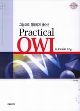 Practical OWI in Oracle 10g 표지 이미지