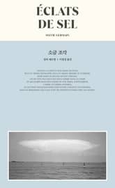 소금 조각 표지 이미지