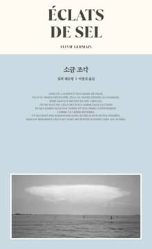 소금 조각