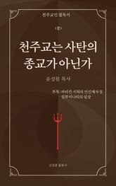 천주교는 사탄의 종교가 아닌가(중) 표지 이미지