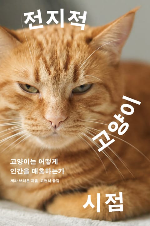 전지적 고양이 시점 표지 이미지