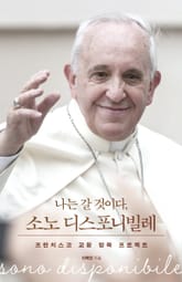 나는 갈 것이다, 소노 디스포니빌레 표지 이미지