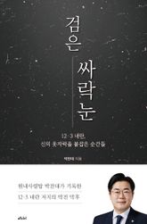 검은 싸락눈 표지 이미지