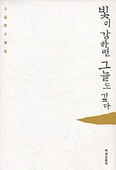 빛이 강하면 그늘도 깊다 표지 이미지