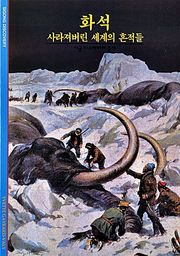 화석