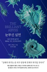 눈부신 심연 표지 이미지