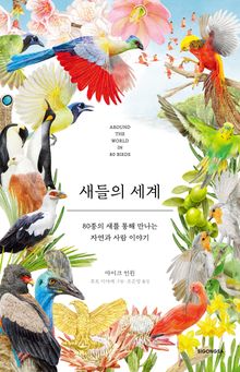 새들의 세계