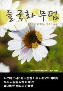 들국화 무덤
