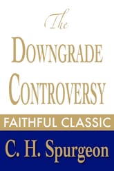 The Downgrade Controversy 표지 이미지