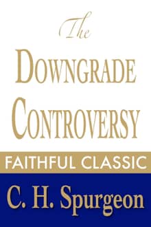 The Downgrade Controversy