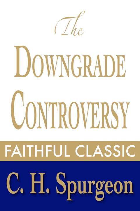 The Downgrade Controversy 표지 이미지