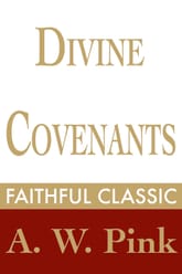 Divine Covenants 표지 이미지