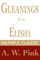Gleanings from Elisha 표지 이미지
