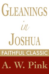 Gleanings in Joshua 표지 이미지