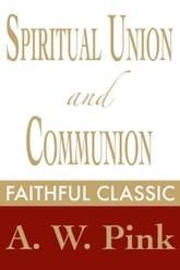 Spiritual Union and Communion 표지 이미지